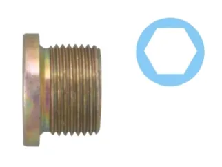 Tornillo carter renault master 2.5 d-2.8 dti 98/01 / Iveco daily 2.5 td-2.8 89/06 M22X1.50X14 mm allen 10 zincado