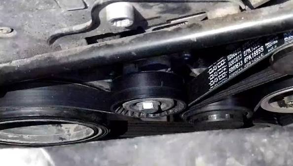 Correa poly-v — Volkswagen (Amarok) — foto 3