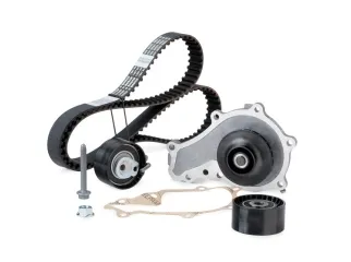 Kit distribucion citroen berlingo 10/.. / Citroen C4 08/.. / Peugeot 307 04/.. / Peugeot expert 08/.. / Peugeot partner 10/..
