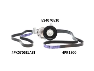 Kit polyv ford focus iii 2.0 16V duratec 14/20