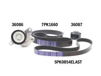 Kit polyv nissan frontier 2.3 tdi YS23DDT 16/.. / Renault Alaskan/Master 2.3 dci M9T