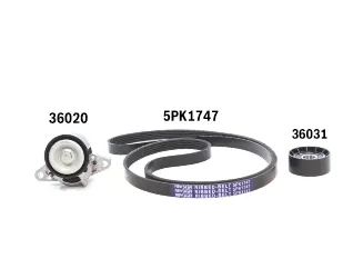 Kit polyv renault clio 03/12 / Renault fluence 08/.. / Renault kangoo 00/08 / Renault laguna 98/02 / Renault logan 07/.. / Renault megane 99/09 / Renault sandero 08/.. / Renault scenic 01/12 / Renault symbol 09/13