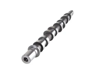 Arbol de leva renault clio Ii/Logan/Sandero/Fluence/Megane/Kangoo/Duster/Duster oroch 1.6 16V dohc L4 K4M admision