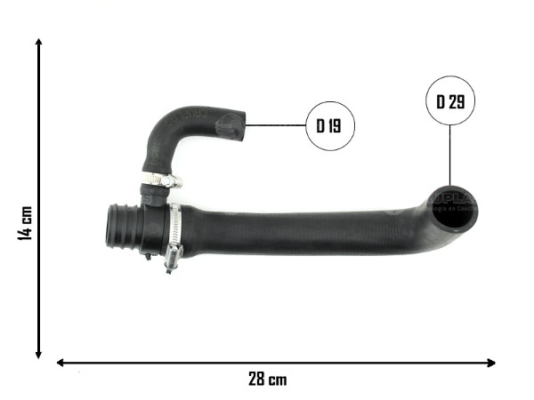 Conector inferior de radiador — Volkswagen (Amarok)