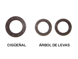 Reten Peugeot/Citroen 1.8 16V XU7JP4 retenes ciguenal y arboles de levas