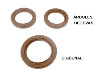 Reten Peugeot/Citroen 2.0 16V EW10J4/EW10J4S retenes ciguenal y arboles de levas