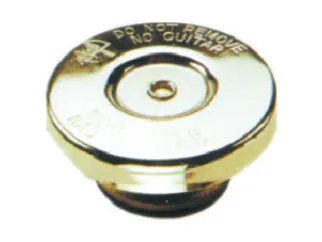 Tapa deposito recuperador chevrolet C10/D20 85/.. / Ford F4000 93/98 tapa de radiador 9 libras