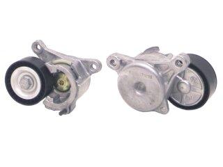 Tensor polea autotensor motor 2.0 16V automatico Peugeot / Citroen | 307 | 2.0 16V