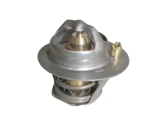 Termostato ford focus 98/12
