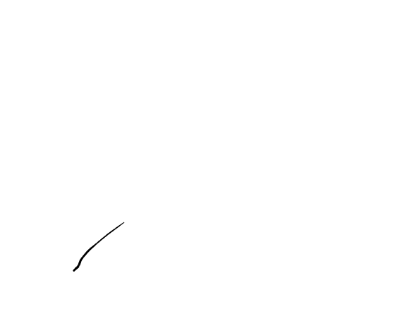 Correa polyv